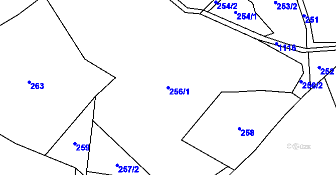 Parcela st. 256/1 v KÚ Nedvězí u Semil, Katastrální mapa