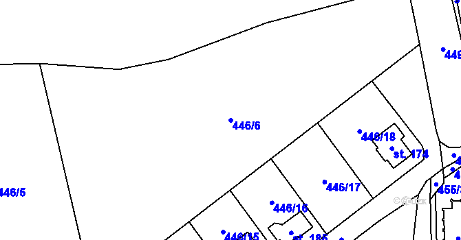 Parcela st. 446/6 v KÚ Slavče u Trhových Svinů, Katastrální mapa