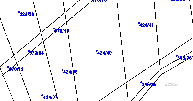 Parcela st. 424/40 v KÚ Slavětín u Načeradce, Katastrální mapa