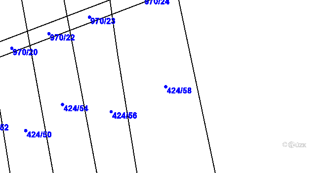 Parcela st. 424/58 v KÚ Slavětín u Načeradce, Katastrální mapa