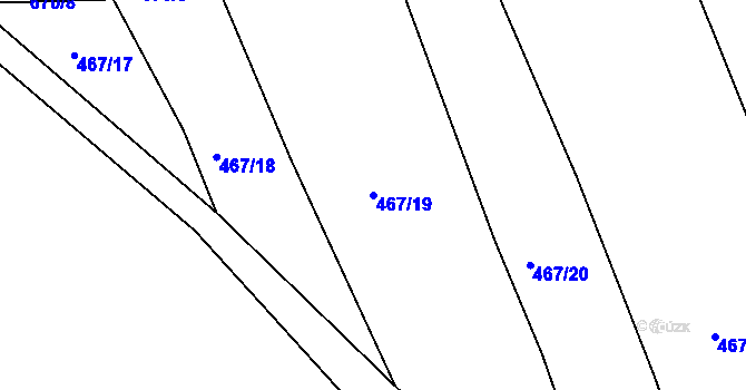 Parcela st. 467/19 v KÚ Slavětín nad Ohří, Katastrální mapa