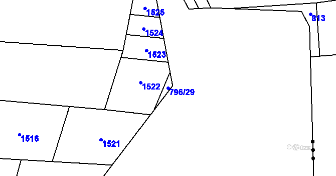 Parcela st. 796/29 v KÚ Slavíč, Katastrální mapa