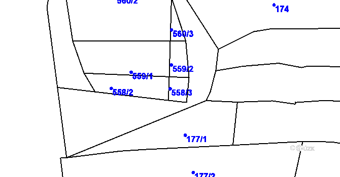 Parcela st. 558/3 v KÚ Divnice, Katastrální mapa