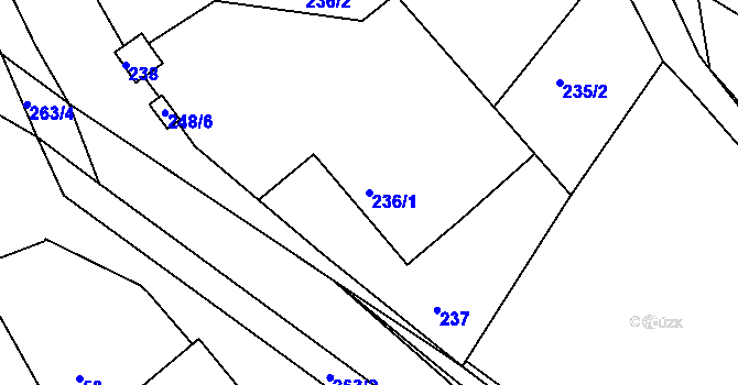 Parcela st. 236/1 v KÚ Slavkovice, Katastrální mapa