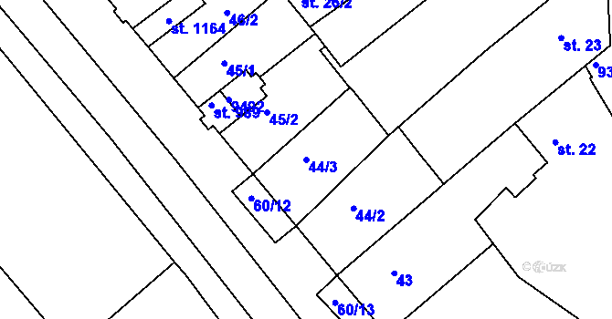 Parcela st. 44/3 v KÚ Slavonice, Katastrální mapa