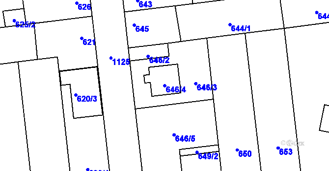 Parcela st. 646/4 v KÚ Slavonín, Katastrální mapa