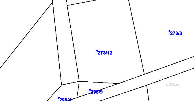 Parcela st. 273/12 v KÚ Ves Rudoltice, Katastrální mapa
