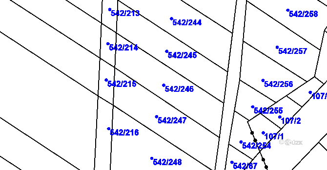 Parcela st. 542/246 v KÚ Smidary, Katastrální mapa