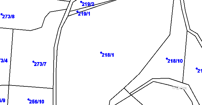 Parcela st. 218/1 v KÚ Kouty u Smilkova, Katastrální mapa