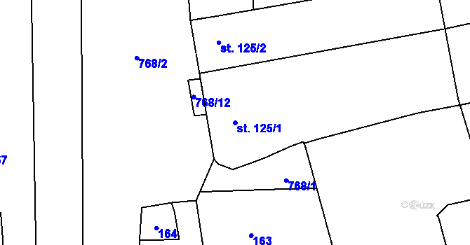 Parcela st. 125/1 v KÚ Soběchleby, Katastrální mapa