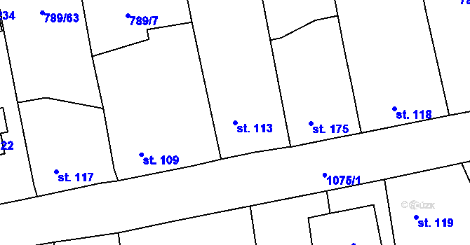Parcela st. 113 v KÚ Horušany, Katastrální mapa