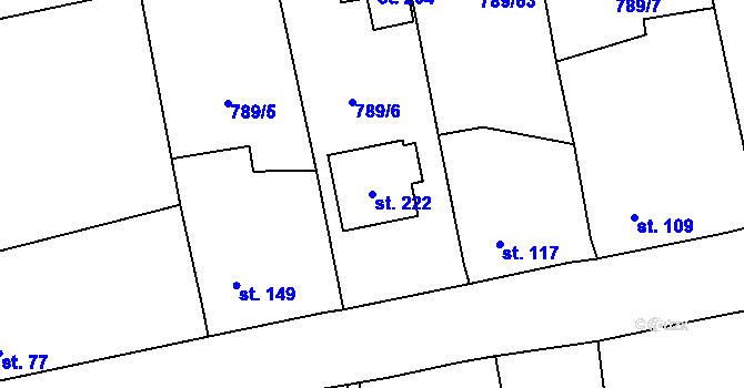 Parcela st. 222 v KÚ Horušany, Katastrální mapa
