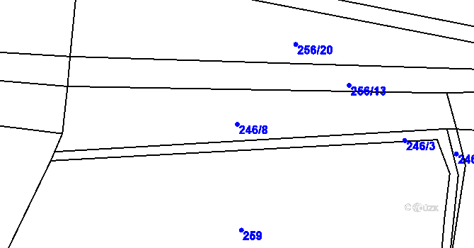 Parcela st. 246/8 v KÚ Soběsuky u Nepomuka, Katastrální mapa