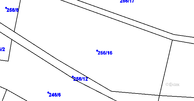 Parcela st. 256/16 v KÚ Soběsuky u Nepomuka, Katastrální mapa