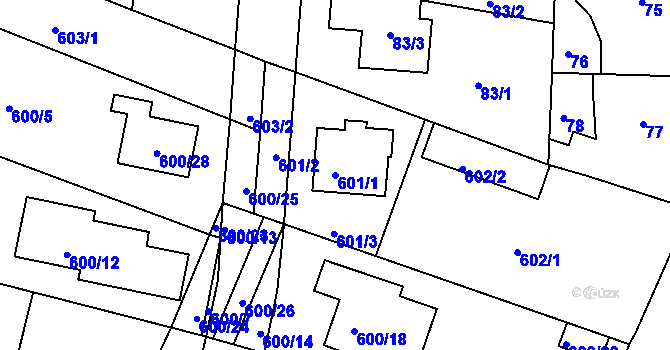 Parcela st. 601/1 v KÚ Soběšice, Katastrální mapa