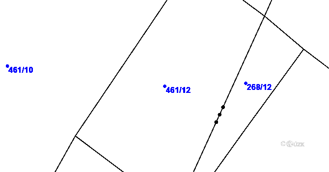 Parcela st. 461/12 v KÚ Lavice, Katastrální mapa