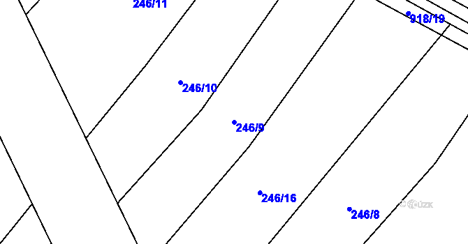 Parcela st. 246/9 v KÚ Sokoleč, Katastrální mapa