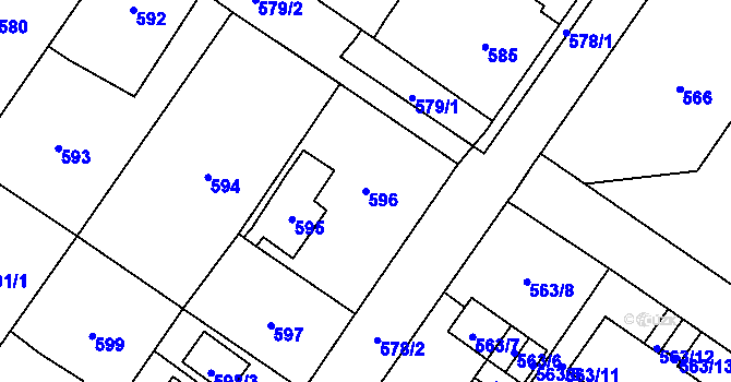 Parcela st. 596 v KÚ Dolní Rychnov, Katastrální mapa