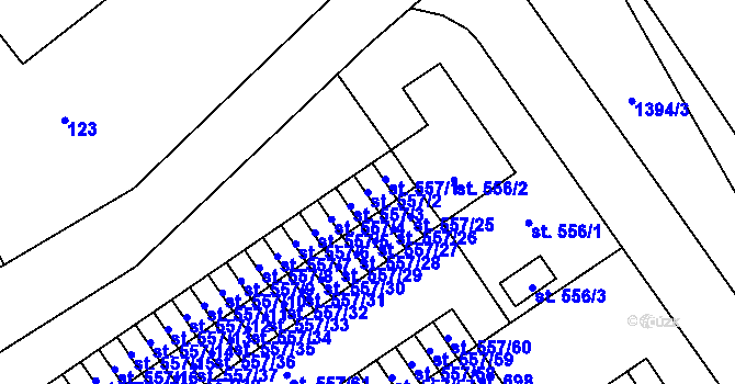 Parcela st. 557/2 v KÚ Solnice, Katastrální mapa