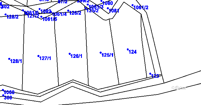 Parcela st. 125/1 v KÚ Sousedovice, Katastrální mapa