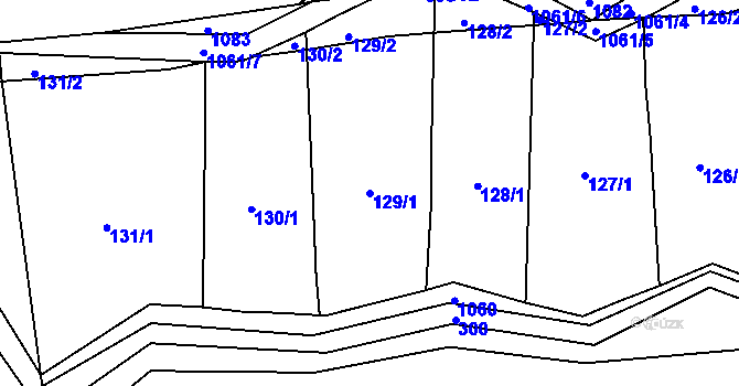 Parcela st. 129/1 v KÚ Sousedovice, Katastrální mapa