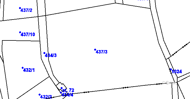 Parcela st. 437/3 v KÚ Spělkov, Katastrální mapa