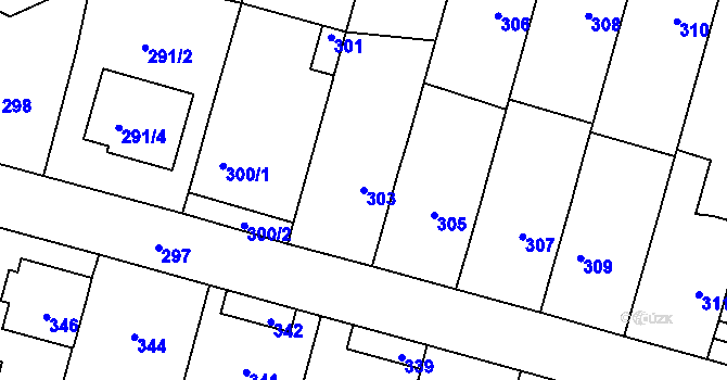 Parcela st. 303 v KÚ Spešov, Katastrální mapa