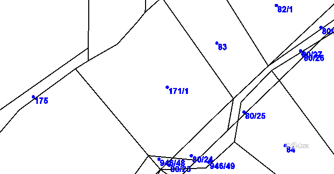 Parcela st. 171/1 v KÚ Spolí u Ledenic, Katastrální mapa