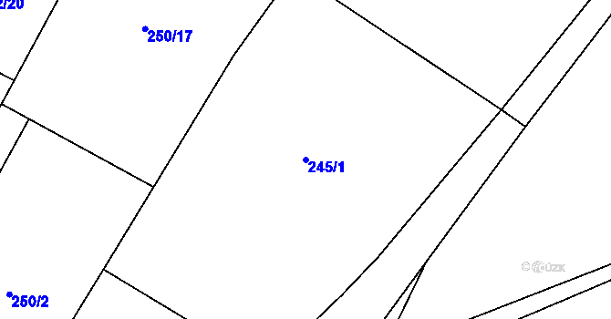 Parcela st. 245/1 v KÚ Srch, Katastrální mapa