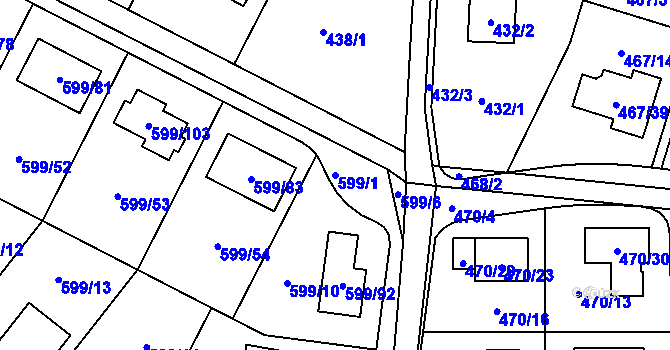 Parcela st. 599/1 v KÚ Srubec, Katastrální mapa