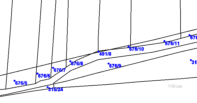 Parcela st. 491/8 v KÚ Staré Sedlo u Stádlce, Katastrální mapa