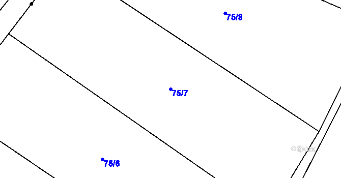 Parcela st. 75/7 v KÚ Staňkov, Katastrální mapa