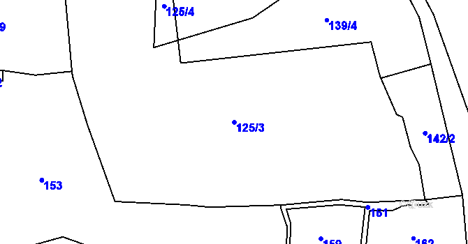 Parcela st. 125/3 v KÚ Staňkov, Katastrální mapa