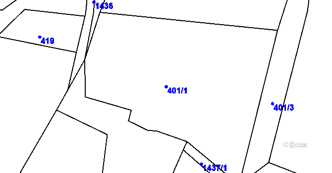 Parcela st. 401/1 v KÚ Stará Paka, Katastrální mapa