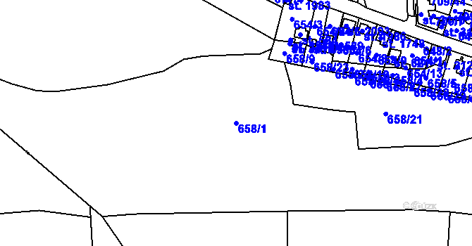 Parcela st. 658/1 v KÚ Stará Role, Katastrální mapa