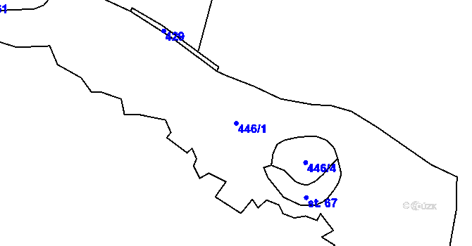 Parcela st. 446/1 v KÚ Skalka u Nové Bystřice, Katastrální mapa