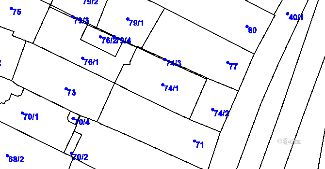 Parcela st. 74/1 v KÚ Starovice, Katastrální mapa