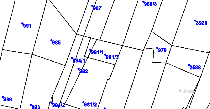 Parcela st. 981/3 v KÚ Starovice, Katastrální mapa