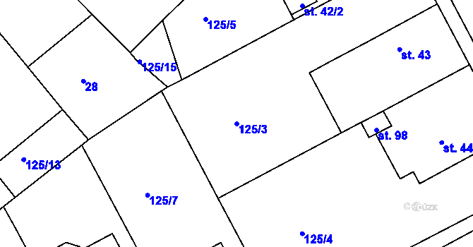 Parcela st. 125/3 v KÚ Třebosice, Katastrální mapa
