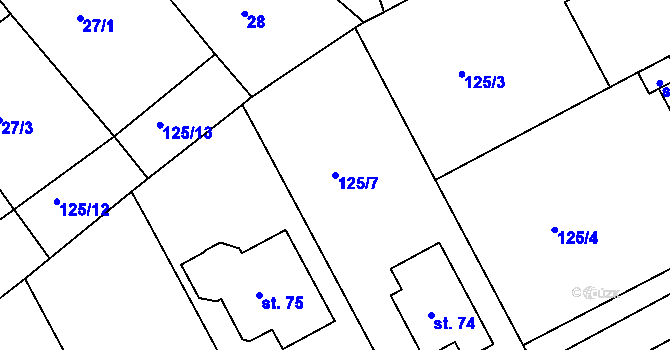 Parcela st. 125/7 v KÚ Třebosice, Katastrální mapa