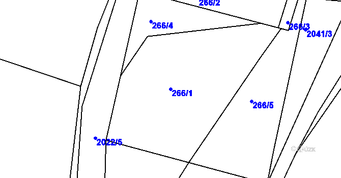 Parcela st. 266/1 v KÚ Starý Ples, Katastrální mapa