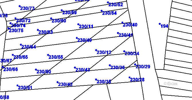 Parcela st. 230/12 v KÚ Stavěšice, Katastrální mapa