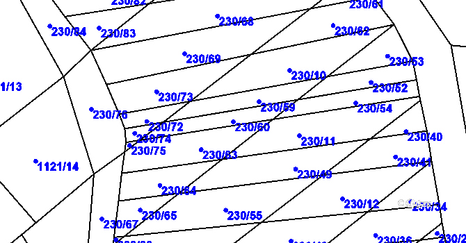 Parcela st. 230/60 v KÚ Stavěšice, Katastrální mapa