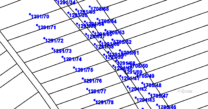 Parcela st. 1291/39 v KÚ Stavěšice, Katastrální mapa