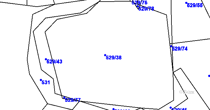 Parcela st. 529/38 v KÚ Stěžov, Katastrální mapa