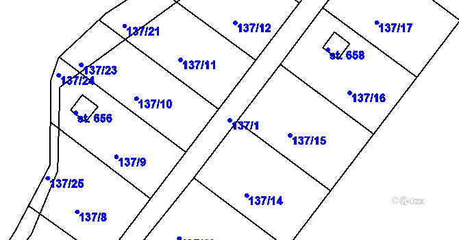 Parcela st. 137/1 v KÚ Přední Ptákovice, Katastrální mapa