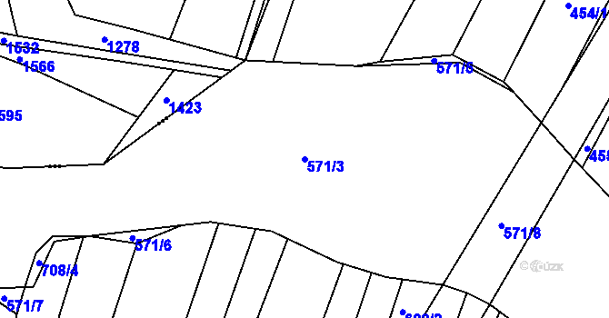 Parcela st. 571/3 v KÚ Dražejov u Strakonic, Katastrální mapa