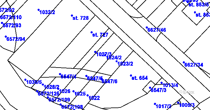 Parcela st. 1024/2 v KÚ Strání, Katastrální mapa