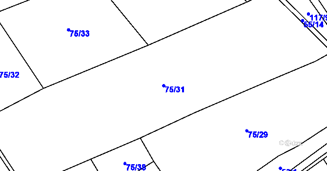 Parcela st. 75/31 v KÚ Strašnov, Katastrální mapa