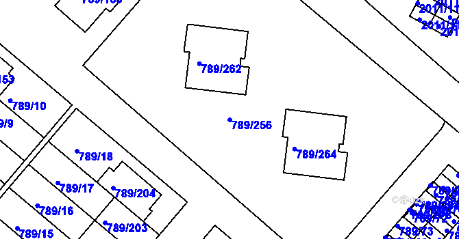Parcela st. 789/256 v KÚ Strážnice na Moravě, Katastrální mapa